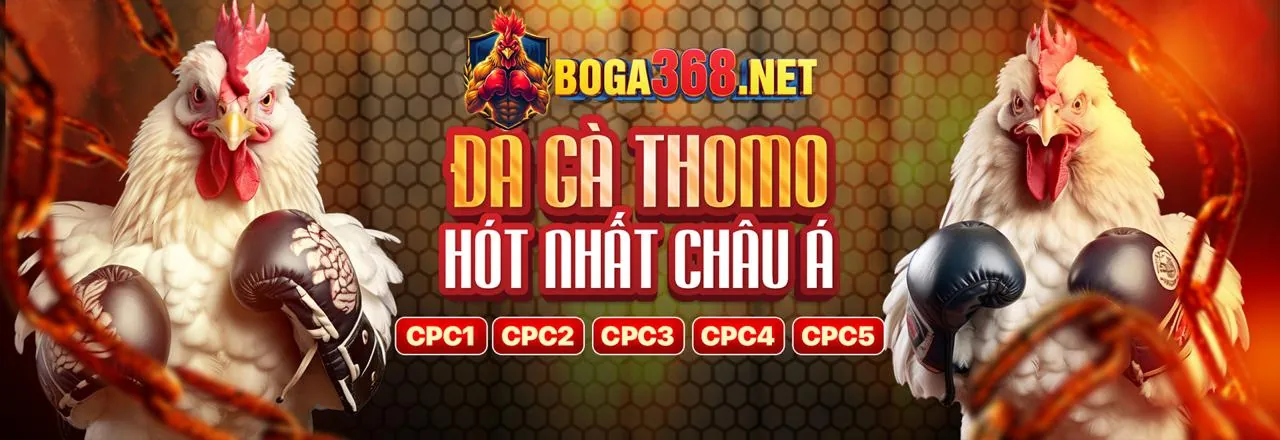Đá gà trực tuyến trên BI88 App Android